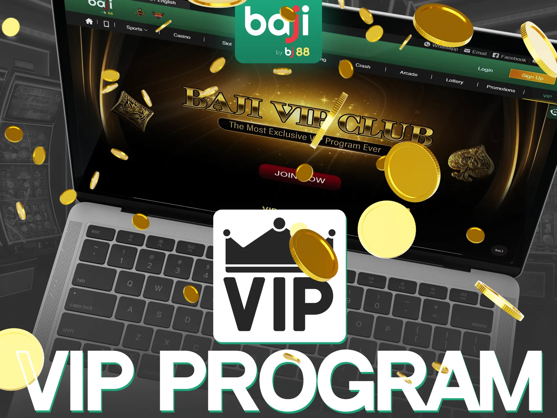 Become a participant of the unique Baji VIP Program.